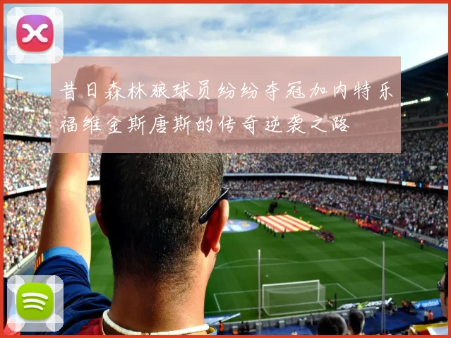 昔日森林狼球员纷纷夺冠加内特乐福维金斯唐斯的传奇逆袭之路