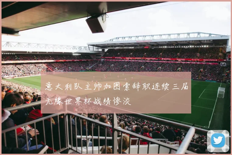 意大利队主帅加图索辞职连续三届无缘世界杯战绩惨淡